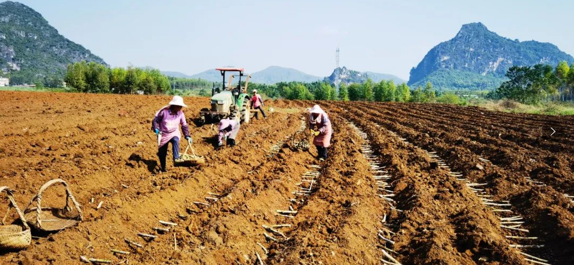 微信截圖_20231121175026.png 微信截圖_20231121175026.png