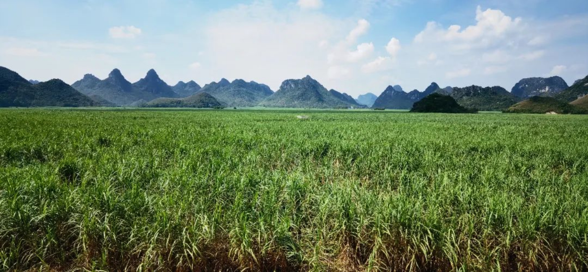 微信截圖_20231121174917.png 微信截圖_20231121174917.png