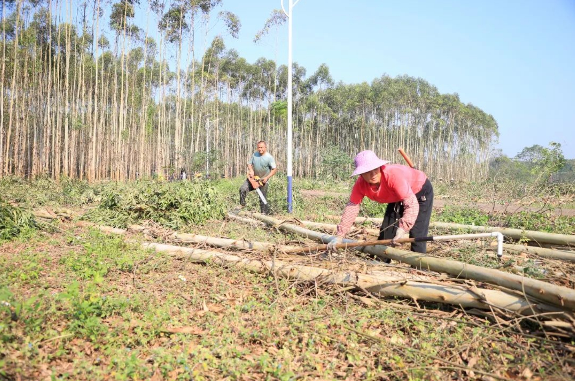 微信截圖_20231121175000.png 微信截圖_20231121175000.png