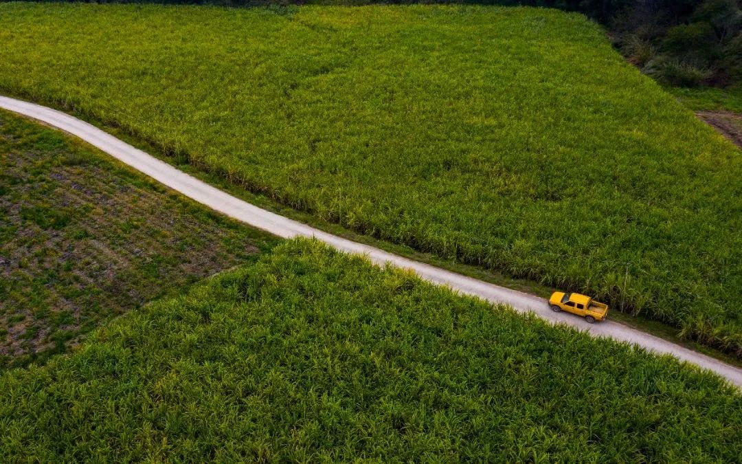 d89ed909e0c1a09e78bc814b2284231c.jpg d89ed909e0c1a09e78bc814b2284231c.jpg