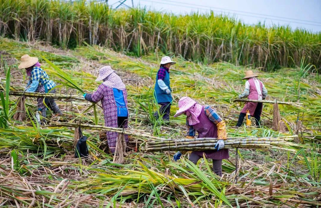 d5d7f0be3f7e33fd1c7daac7b9a191a4.jpg d5d7f0be3f7e33fd1c7daac7b9a191a4.jpg