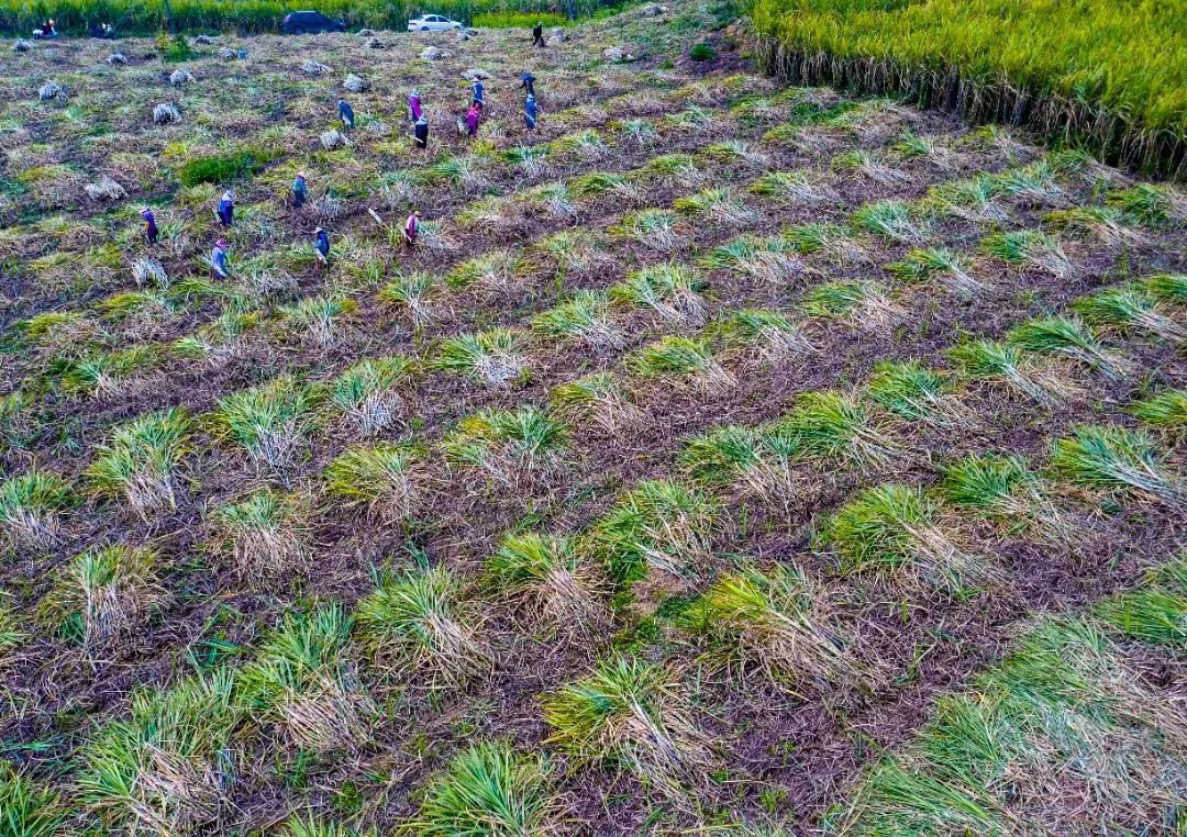 9eb991880ccf17b0b3a24de79a87184c.jpg 9eb991880ccf17b0b3a24de79a87184c.jpg