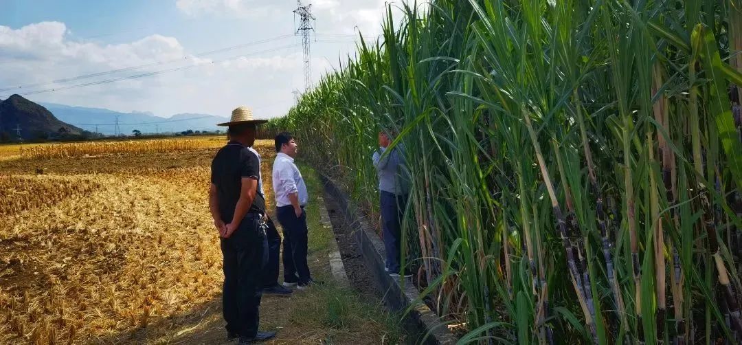 097904ea5cb97d1d552bc54bf9f288e5.jpg 097904ea5cb97d1d552bc54bf9f288e5.jpg