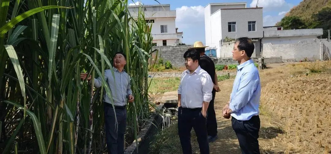 57e78a267e8b92f16df5c6e90b99f7a6.jpg 57e78a267e8b92f16df5c6e90b99f7a6.jpg