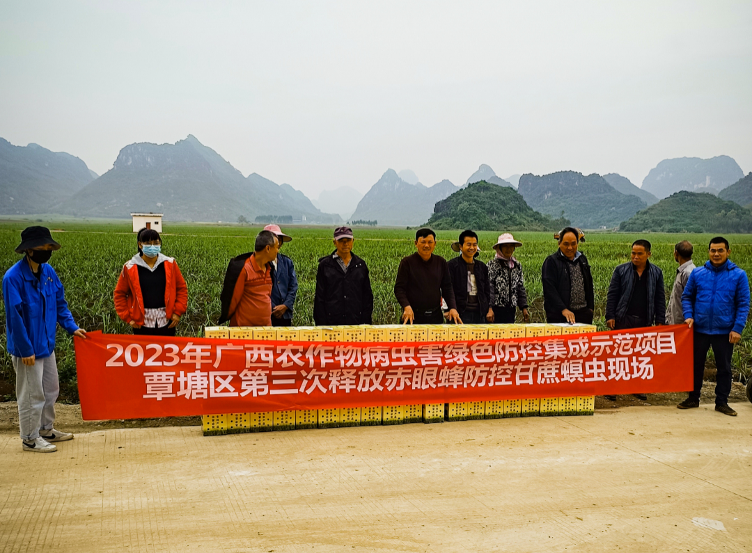 477d02600e4301eaf6fcd7720f1e67f6.png 477d02600e4301eaf6fcd7720f1e67f6.png