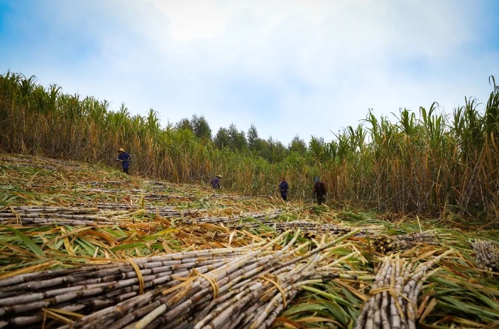 微信截圖_20240122092740.png 微信截圖_20240122092740.png