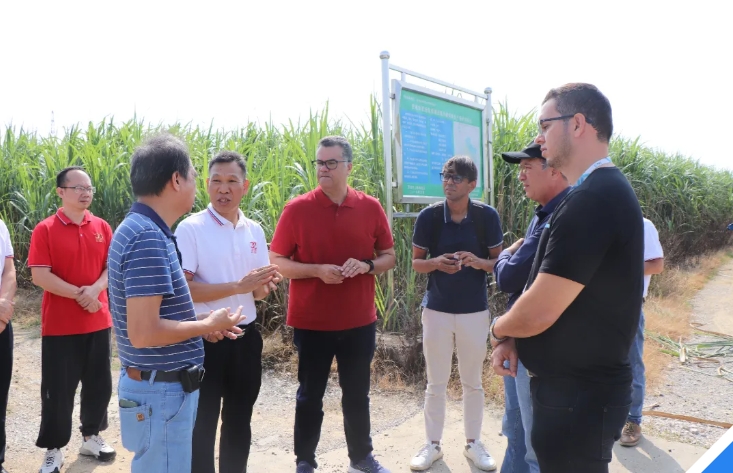 微信截圖_20241114084147.png 微信截圖_20241114084147.png