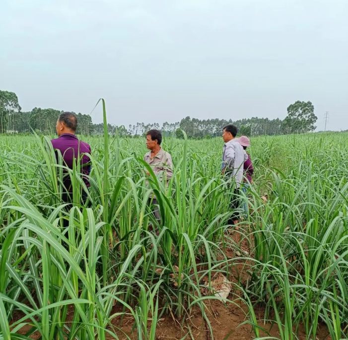 微信截圖_20240815145651.png 微信截圖_20240815145651.png