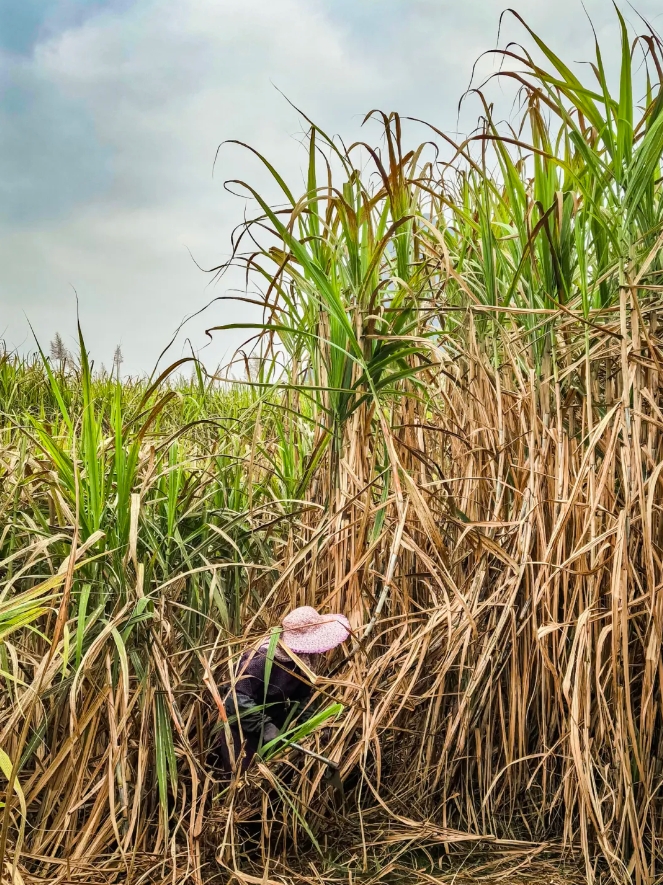 微信截圖_20240927163028.png 微信截圖_20240927163028.png