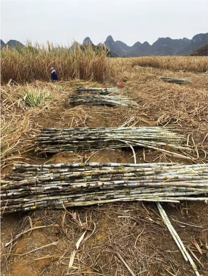 微信截圖_20250221160135.png 微信截圖_20250221160135.png