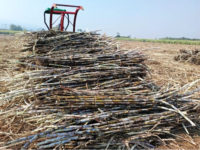 微信截圖_20250221160145.png 微信截圖_20250221160145.png