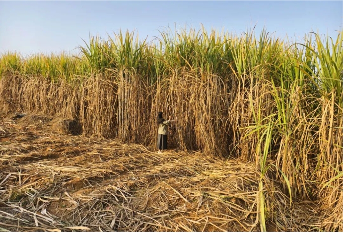 微信截圖_20250221160123.png 微信截圖_20250221160123.png