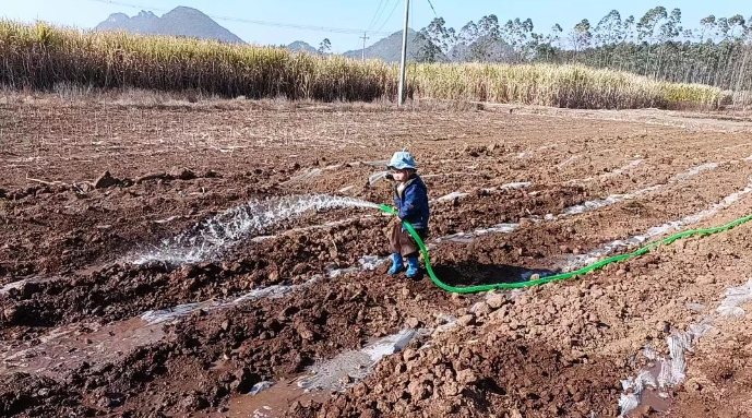 微信截圖_20250221160220.png 微信截圖_20250221160220.png