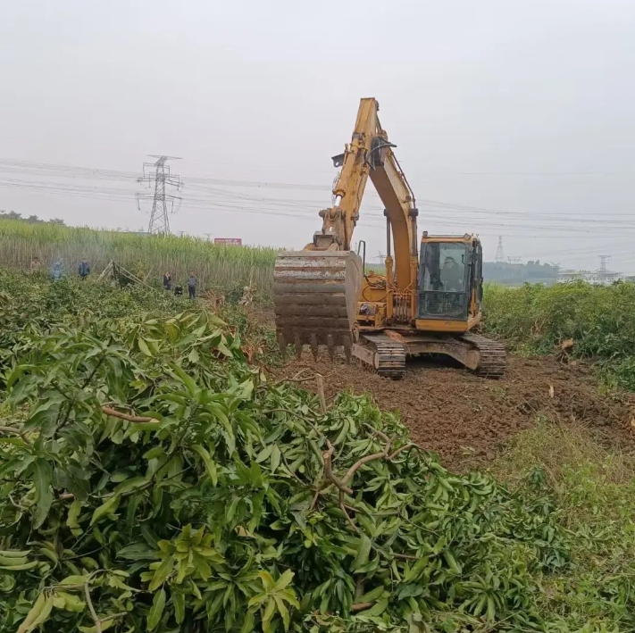 微信截圖_20250310155819.png 微信截圖_20250310155819.png