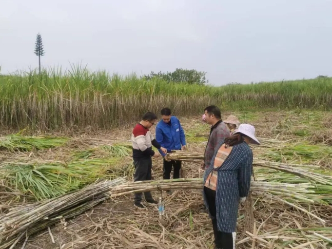 微信截圖_20250310173238.png 微信截圖_20250310173238.png