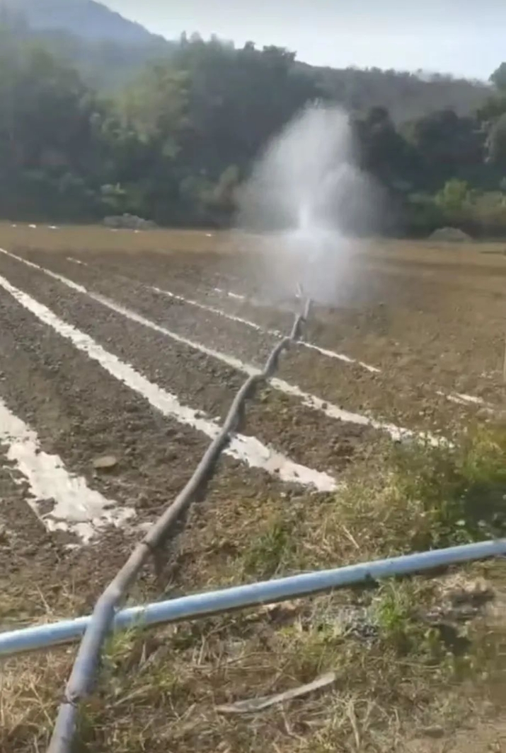 微信截圖_20250310155744.png 微信截圖_20250310155744.png