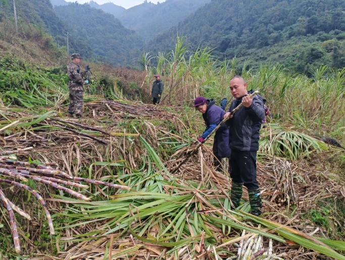 微信截圖_20250310173257.png 微信截圖_20250310173257.png