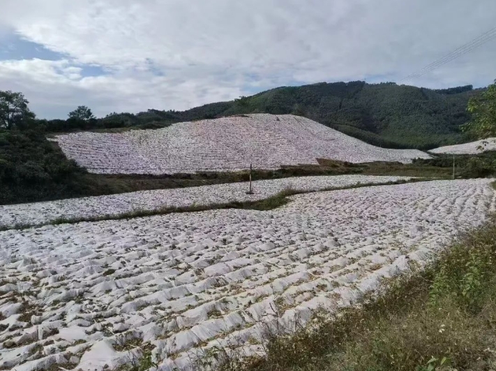 微信截圖_20250310155848.png 微信截圖_20250310155848.png